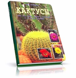 Нико Вермёлен - Кактусы