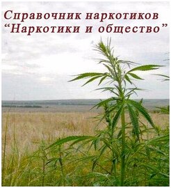 Справочник наркотиков: Наркотики и общество