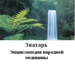 энциклопедия народной медицины